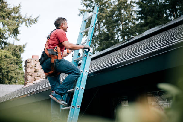 Best Steel Roofing  in Mackinac Island, MI